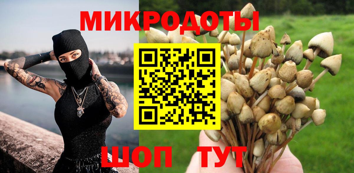 Псилоцибиновые грибы MAGIC MUSHROOMS  Вход с VPN  Алексеевка 